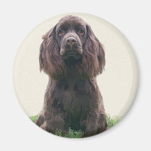 Cocker Spaniel Magnet