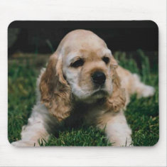 cocker spaniel mouse pad mousepad