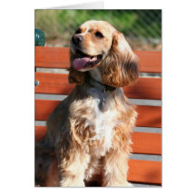 Cocker Spaniel Notecard