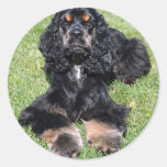 Cocker Spaniel Photo Stickers