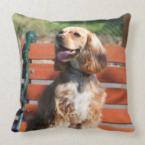 Cocker Spaniel Pillows