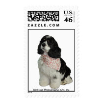 Cocker Spaniel Stamps