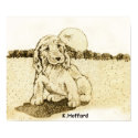 Cocker Spaniel posters by Hoffard Cocker Spaniel posters