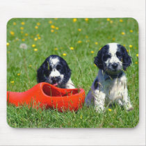 Cocker Spaniel Puppies Mousepad