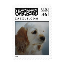 Cocker Spaniel puppy - adopt today! Stamps