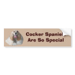 Cocker Spaniel Smiling Bumper Sticker