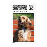 Cocker Spaniel Stamps