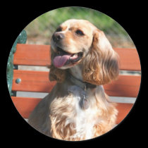 Cocker Spaniel stickers stickers