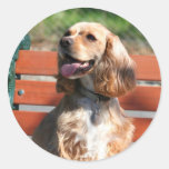 Cocker Spaniel stickers