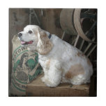 Cocker Spaniel Tiles