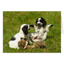 Cocker Spaniels Greeting Card