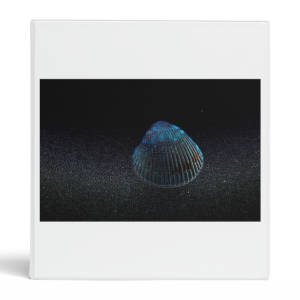 cockle shell back dark seashell beach image vinyl binder