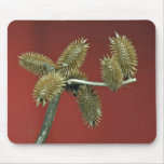 Cocklebur flowering plant (Xanthium species) Mousepads