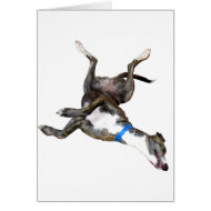 Cockroaching card