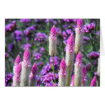 Cockscomb Greeting Card