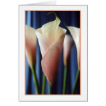 Cocktail Party Greeting Card