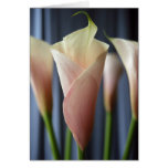 Cocktail Party Lily Greeting Card