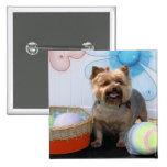Coco Chanel - Yorkie -4 Pinback Button