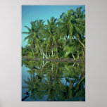 Coco Nutty Beach posters