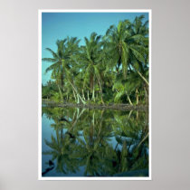 Coco Nutty Beach Poster