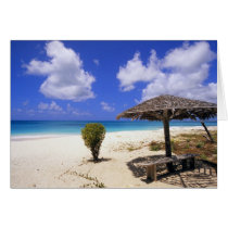Coco Point Beach, Barbuda, Antigua Greeting Card