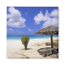 Coco Point Beach, Barbuda, Antigua Fridge Magnets