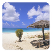 Coco Point Beach, Barbuda, Antigua Square Sticker