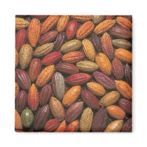 Cocoa pods magnets by photoslot Cocoa pods magnets