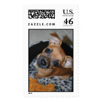 Cocoa Puppy postage by strikerx98 Cocoa Puppy postage