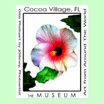 Cocoa Village Poster Hybiscus p3 The MUSEUM Zazzle posters