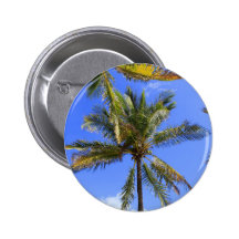 Cocoanut Palm Trees Sky Background Pins