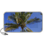 Cocoanut Palm Trees Sky Background Portable Speakers