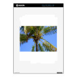 Cocoanut Tree Background iPad 2 Decal