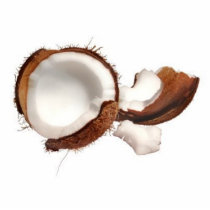 coconut400 photo sculptures
