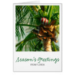 Coconut Florida Christmas Card