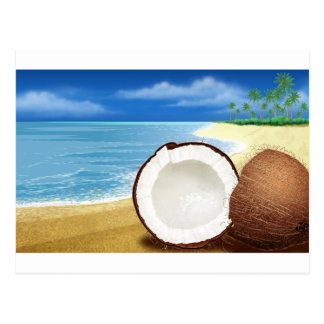 Coconut Postcards | Zazzle