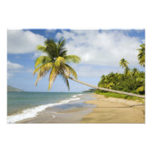 Coconut Grove Beach at Cades Bay, with St. 2 Photo