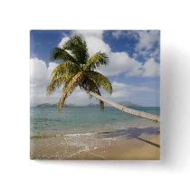 Coconut Grove Beach at Cades Bay, with St. Pinback Buttons