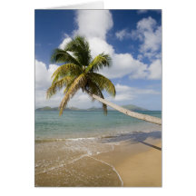 Coconut Grove Beach at Cades Bay, with St. Greeting Card