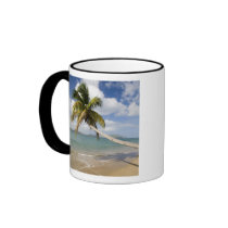 Coconut Grove Beach at Cades Bay, with St. Mug