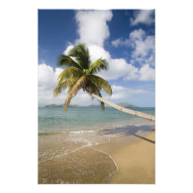 Coconut Grove Beach at Cades Bay, with St. Photo Print