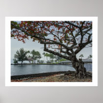 COCONUT ISLAND in HILO BAY HAWAII Posters