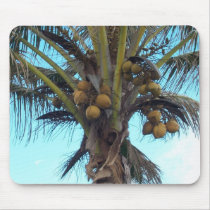 Coconut Mousepad by sunsett76 Coconut Mousepad