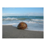 COCONUT ON THE BEACH (3) Poster