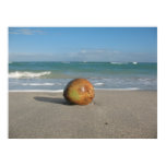 COCONUT ON THE BEACH (5) Poster