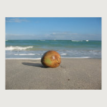 COCONUT ON THE BEACH (5) Poster posters