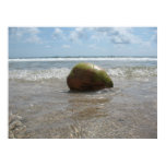 COCONUT ON THE BEACH (6) Poster
