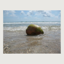 COCONUT ON THE BEACH (6) Poster posters
