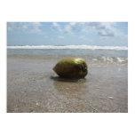 COCONUT ON THE BEACH (7) Poster