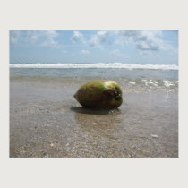 COCONUT ON THE BEACH (7) Poster posters